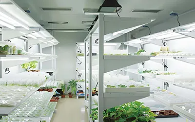 Laboratorio, jolla on jatkuva lämpötila ja hallintasuunnittelu