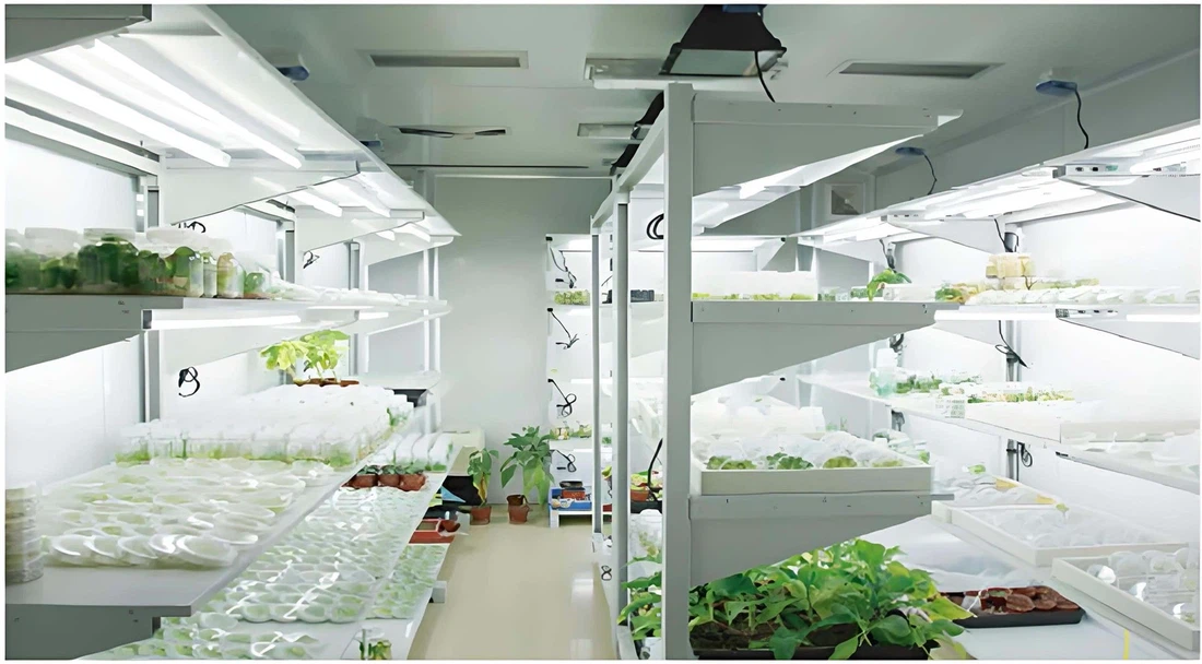 Tissue Culture Lab Tissue Culture Lab