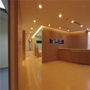 Kiinan koristeellinen korkeapaine laminaatti -seinäpaneelit myytävänä